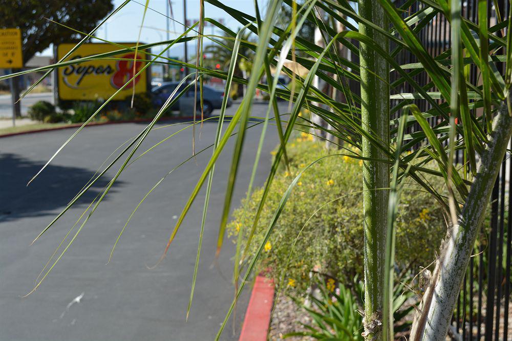 Motel Super 8 By Wyndham Salinas Exterior foto
